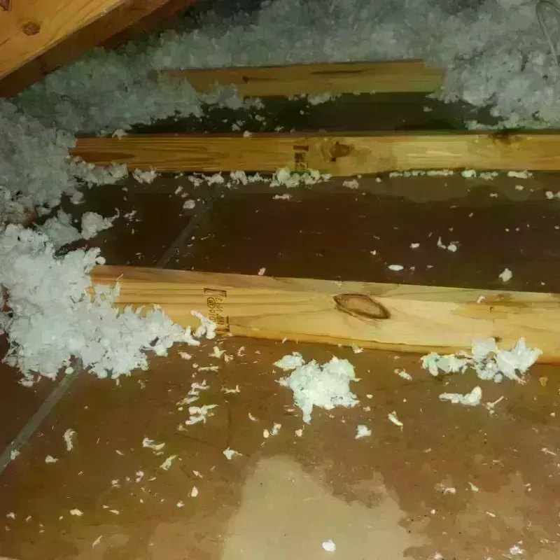 Attic Water Damage in Crozet, VA